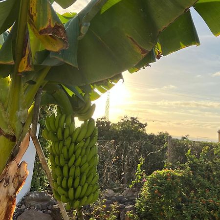 Un Paraiso En Tenerife Villa Punta Del Hidalgo Exterior foto